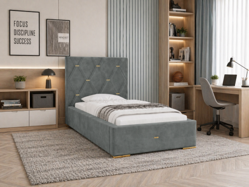 RAVI PREMIUM